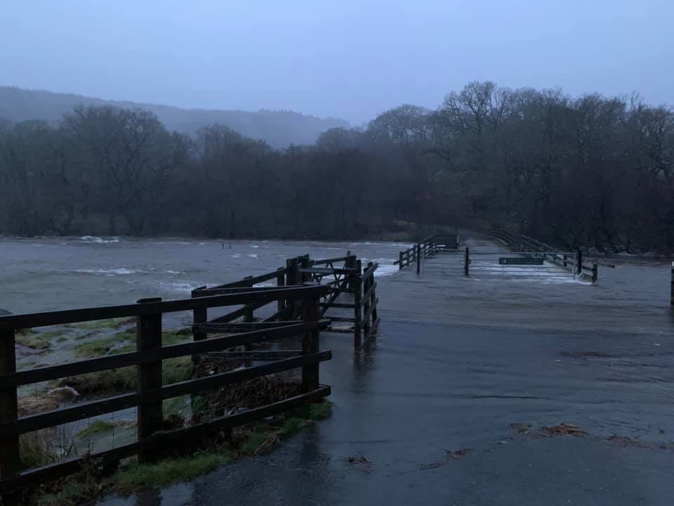 IMG_0081.JPG (71 KB)