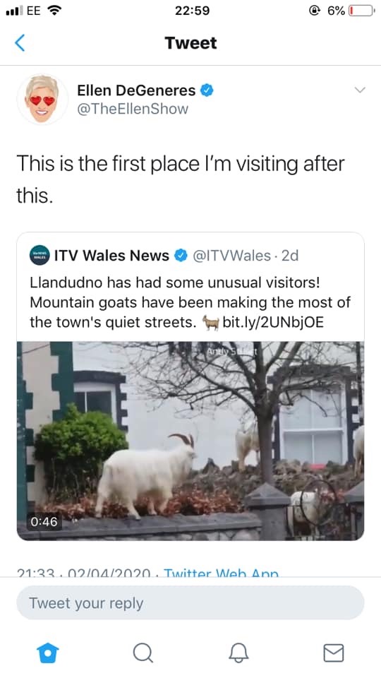 IMG_0265.JPG (85 KB)