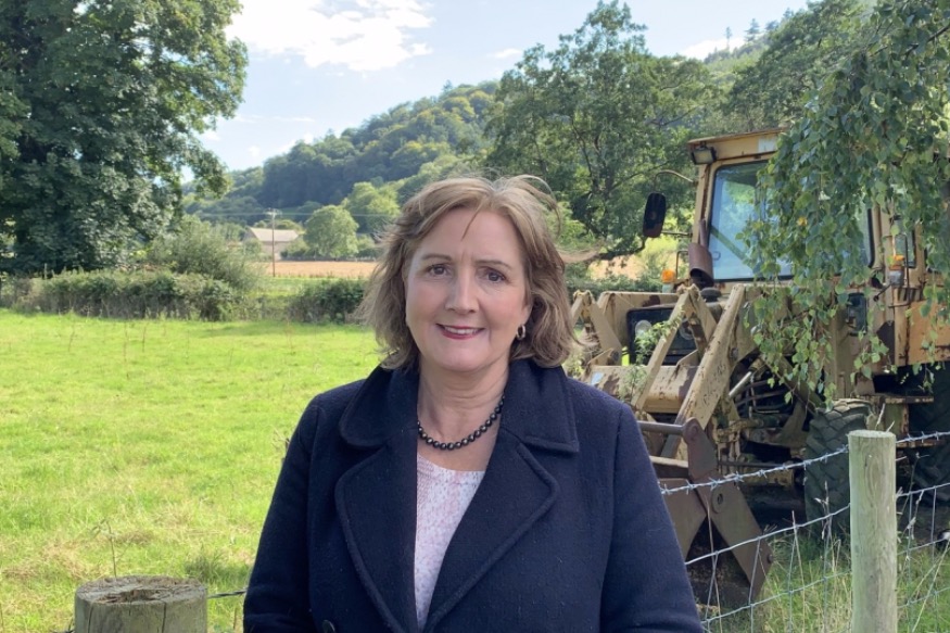 Calls to increase amount of protected green spaces in Wales