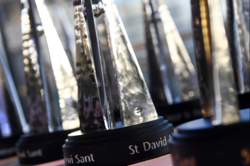 St David Award turns green as new award announced