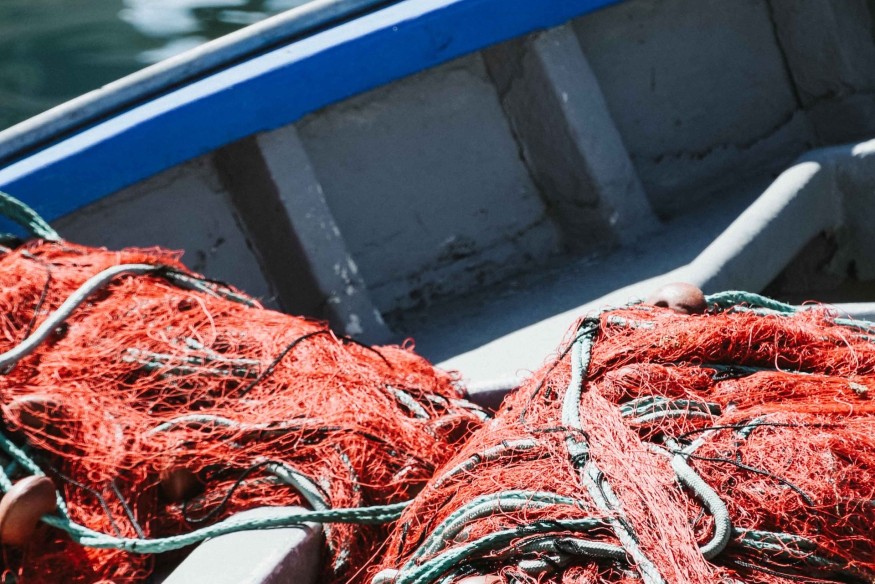 Consultation on Wales’ first Fisheries Management Plans