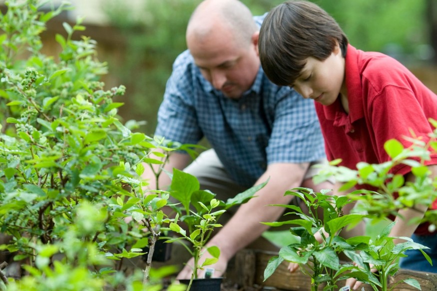 Growth of social prescribing aims to reduce burden on doctors