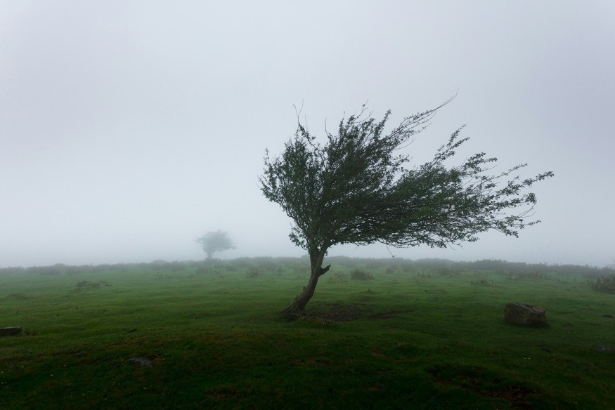 Storm Isha puts North Wales on an amber weather alert