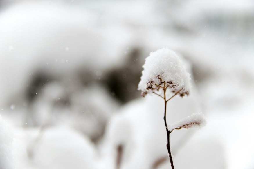 Warning of rural road risk as ice and snow set to hit