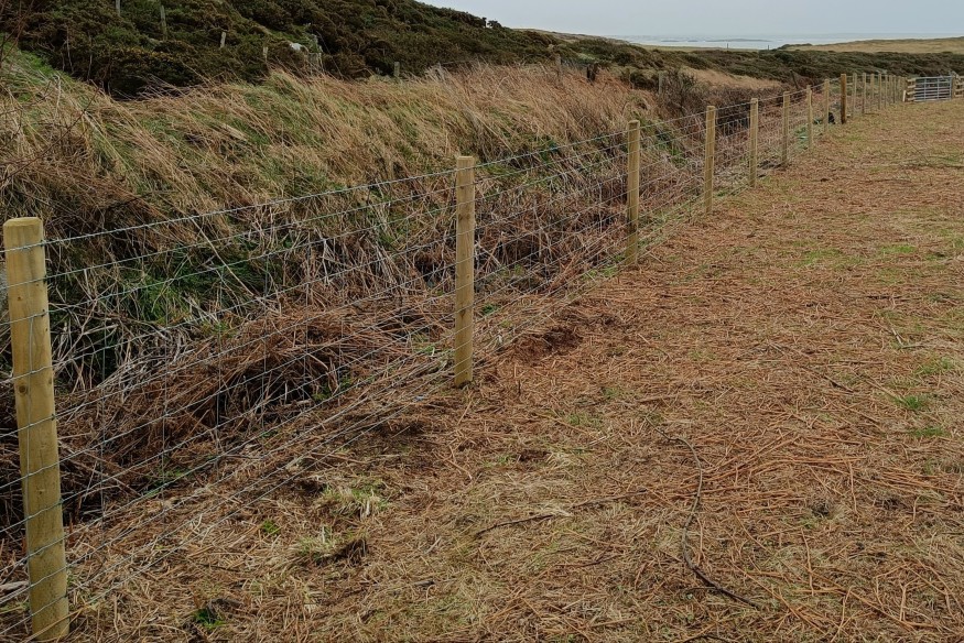 Nature Networks Funding gives boost to island habitat