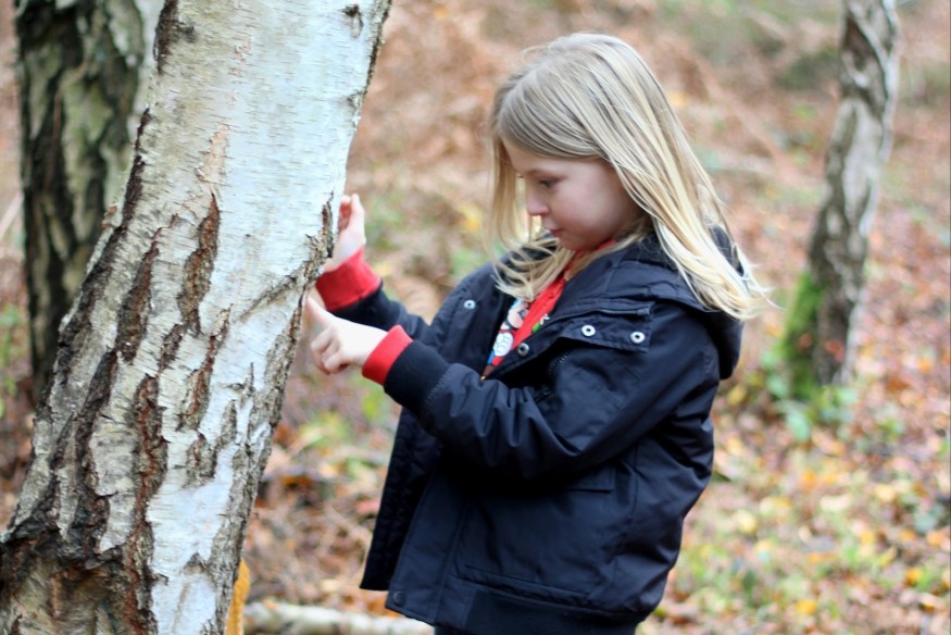 Celebrate nature during Wales Outdoor Learning Week