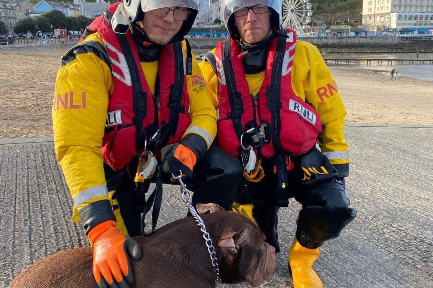 Crew scrambled to distressed dog in sea off Llandudno