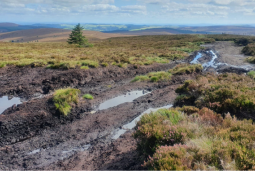 Illegal off-roading to be targeted across North East Wales