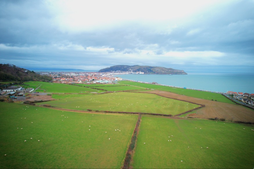 Llandudno's Pine Festival reaches out to local volunteers