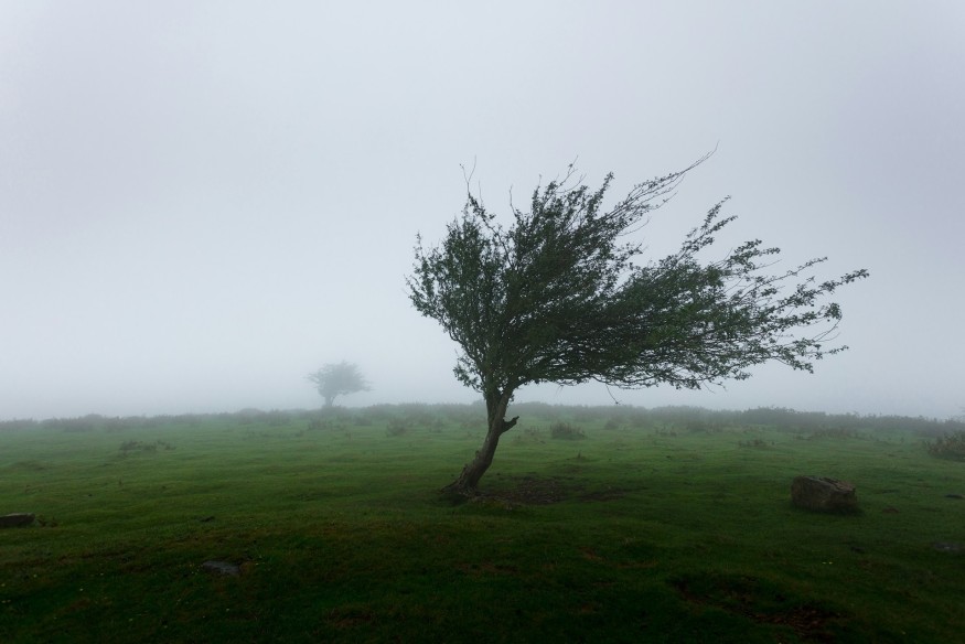 Strong wind expected in first half of Thursday morning