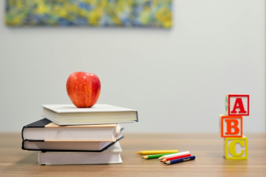 Roll-out of free meals for primary school children complete