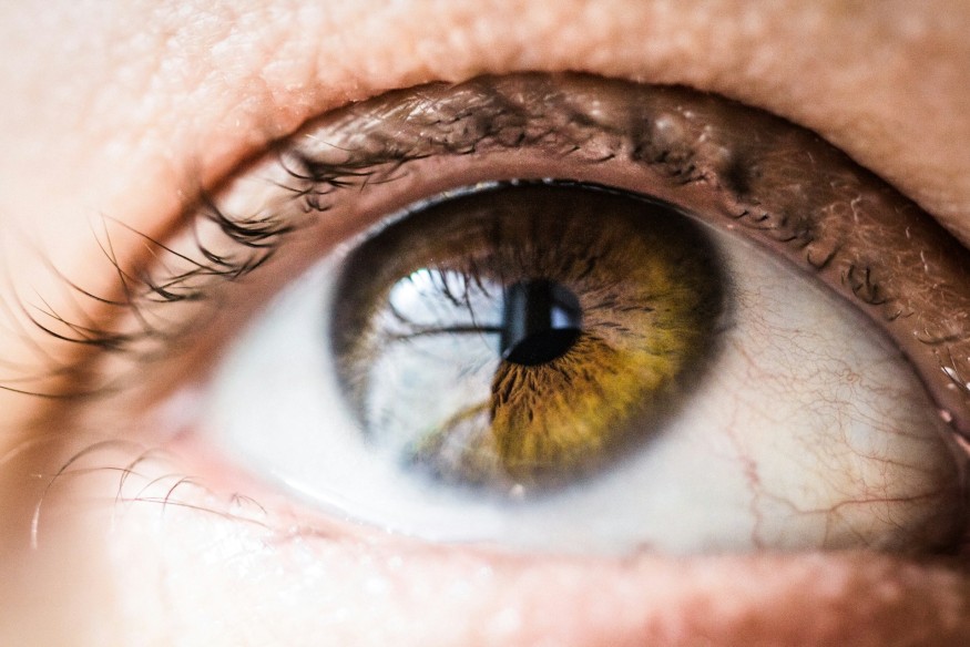 Government urged to take action to prevent sight loss